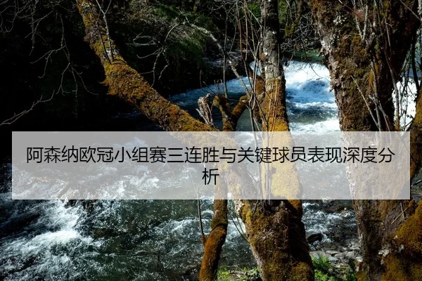阿森纳欧冠小组赛三连胜与关键球员表现深度分析 - feisu
